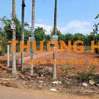 Bán đất đường N2, Đạt Lý, Tân An