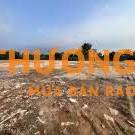Cho Thuê Bãi Tại Đường Đại Linh