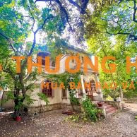 🏠 Nhà sân vườn 1000m2,phù hợp kinh doanh, 3phòng, đường Lê Thị Kim 🏠