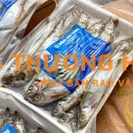 [TÂN PHÚ] TUYỂN 3 NAM NV KHO (10 - 12tr)