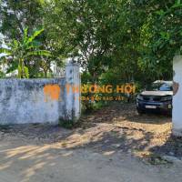 Chính Chủ Bán Gấp 1.1 Mẫu Đất Vườn Đường Nhựa Bảo Hòa, Xuân Lộc. Cách QL1A 700m, Gần Chợ Bảo Hòa. Có Sẵn Nhà Cấp 4. Giá 8.5 Tỷ