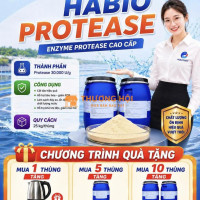 Enzyme cắt tảo hiệu quả