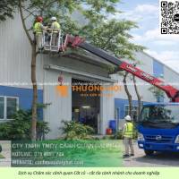 DỊCH VỤ CƯA CÂY – CẮT CỎ LONG ĐỨC LONG THÀNH ĐỒNG NAI
