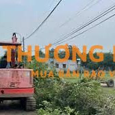 Bán gấp 300m2 đất đường nhựa chợ Phước Thạnh, Củ Chi. Giá 850 triệu