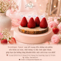 Mua Nến Thơm Tạo Hình Dâu Tây T003 Tại TP HCM
