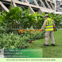 Dịch vụ cắt cỏ Tam Phước Đồng Nai uy tín