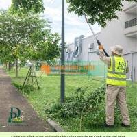 Chăm sóc cây xanh thảm cỏ công ty nhà xưởng Đồng Nai