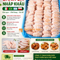 Cung Cấp Cánh Gà Rán Đông Lạnh – Giá Sỉ Cạnh Tranh Tại Hà Nội