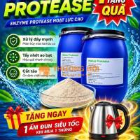 Enzyme cắt tảo, tẩy nhớt, xử lý đáy
