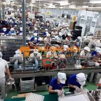 LĐPT - SX LINH KIỆN ĐIỆN TỬ