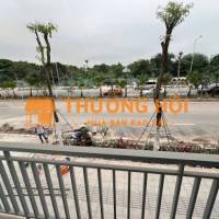 Cho thuê nhà mặt đường vành đai 2.5, quận Thanh Xuân, DT 65m2 x 4 tầng
