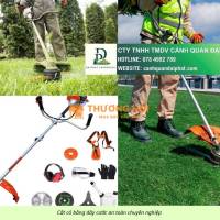 Báo giá dịch vụ cắt cỏ Biên Hòa, Đồng Nai – nhanh gọn, giá hợp lý