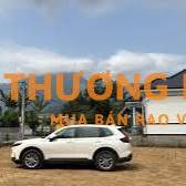 Sang Nhượng 2 Lô Đất Khoáng Nóng Hiếm Tại Ba Vì, Có Sổ Đỏ, 500-1000m2
