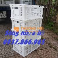 Sọt chế biến thực phẩm trong kho lạnh, sọt nhựa rỗng- sóng hở