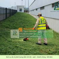 BÁO GIÁ CẮT CỎ – CHĂM SÓC CÂY XANH NHÀ XƯỞNG ĐỒNG NAI