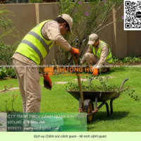 Báo Giá Cắt Cỏ Chăm Sóc Cây Xanh Bình Dương – TP.HCM