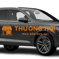 Audi Q7 SUV Xám