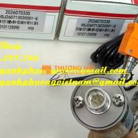 Cảm biến ZHYQ PT124B-121T-M14-152/460-K-G - Hoàng Anh Phương