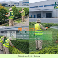 BÁO GIÁ DỊCH VỤ CẮT CỎ – CẮT TỈA CÂY XANH TẠI LONG BÌNH, ĐỒNG NAI