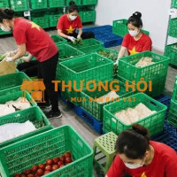 Tuyển nhân viên làm việc thời vụ, bán thời gian gần KCN Tân Bình