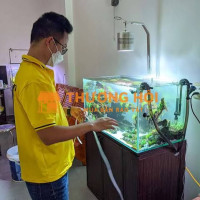 NHÂN VIÊN CHĂM SÓC HỒ THUỶ SINH