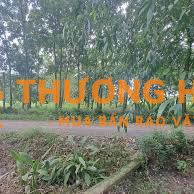 2 lô đất vườn ấp Lộc Trung, xã Hưng Thuận, thị xã Trảng Bàng, Tây Ninh