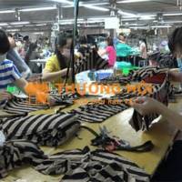 Tuyển cắt chỉ tại xưởng