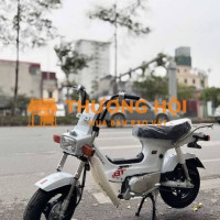 Honda Chaly 50cc Trắng