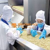 TUYỂN LĐPT NGÀNH SẢN XUẤT HẠT ĐIỀU