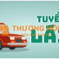 🥬 TUYỂN DỤNG: TÀI XẾ CHAY XE 16 CHỖ (HẠ TẢI) KIÊM ĐÓNG GÓI RAU CỦ