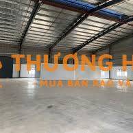 BÁN ĐẤT KHO XƯỞNG 10.000M² – MẶT TIỀN QUỐC LỘ 55, SÔNG PHAN, HÀM TÂN