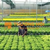 NHÂN VIÊN NÔNG TRẠI- Đà Lạt