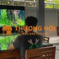 NHÂN VIÊN CHĂM SÓC HỒ THUỶ SINH