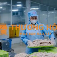 Đồ Hộp Hạ Long tuyển dụng tại Cảng cá Thọ Quang