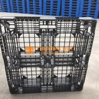Pallet Nhựa Xuất Khẩu Màu Đen: 6 Kích Thước Và Cách Chọn