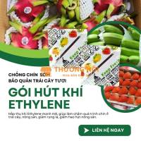 Gói Hút Ethylene Secco Giúp Bảo Quản Trái Cây Tươi Lâu