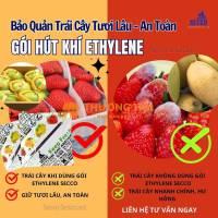 Gói Hút Ethylene Secco Bảo Quản Trái Cây Xuất Khẩu