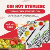 Gói Hút Ethylene Bảo Quản Trái Cây Hoạt Động Thế Nào?