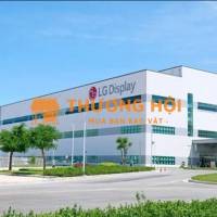 THỜI VỤ LG DISPLAY HẢI PHÒNG