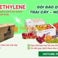 Gói Hút Ethylene Cho Kho Lạnh Bảo Quản Trái Cây Tươi