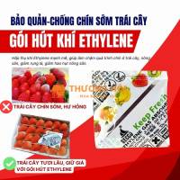 Cách Dùng Gói Hút Ethylene Secco Cho Trái Cây Đúng Cách