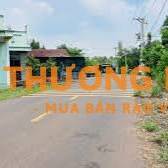 Bán Đất Mặt Tiền đường Nông Cơ