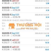 Dịch vụ tư vấn hỗ trợ giao dịch với robot trading