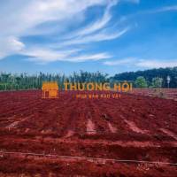 Hơn 2,3 sào đất đỏ, 35m mặt tiền đường nhựa, thích hợp đầu tư giá 2,5 tỷ
