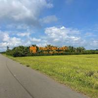 hơn 3 sào view cánh đồng, đang trồng dừa, trái cây, gần bênh viện mới giá 2,7 tỷ