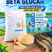 Beta Glucan nhập khẩu - Tăng cường miễn dịch