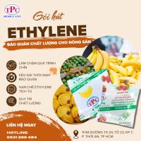 MUA GÓI HÚT ETHYLENE GIÁ SỈ – CUNG CẤP CHO XƯỞNG ĐÓNG GÓI NÔNG SẢN