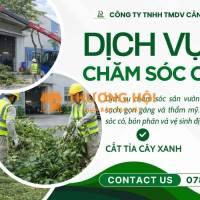 DỊCH VỤ CẮT CỎ - CƯA CÂY TAM PHƯỚC, ĐỒNG NAI