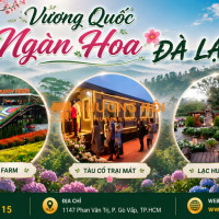 ĐÀ LẠT – TRẢI NGHIỆM VƯƠNG QUỐC NGÀN HOA