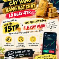 Dịch vụ hỗ trợ tư vấn tài chính
